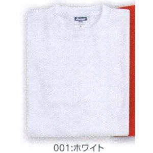 トライセイル スポーツメッシュドライTシャツ（ホワイト/100枚入） TR3200-001 広洋物産