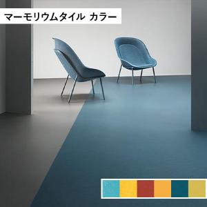 東リ TMフロア リノリウム リノリューム バレエ用床材シート 東リ TMフロア リノリウム リノリューム バレエ用床材シート