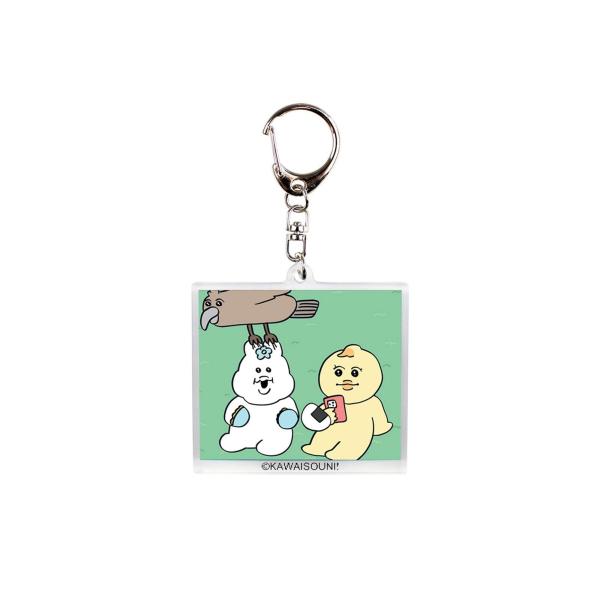 んぽちゃむ チェンジング アクリルキーホルダー (鳥) 可哀想に！ キーリング キャラクター グッズ...