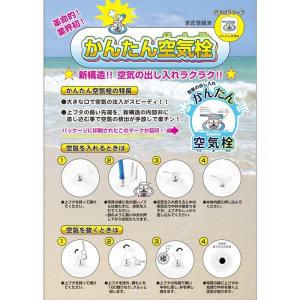 【段階的価格変動商品】イガラシ ラブビーチハー...の詳細画像1
