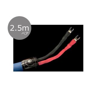 アコースティック リヴァイブ ACOUSTIC REVIVE アコースティック