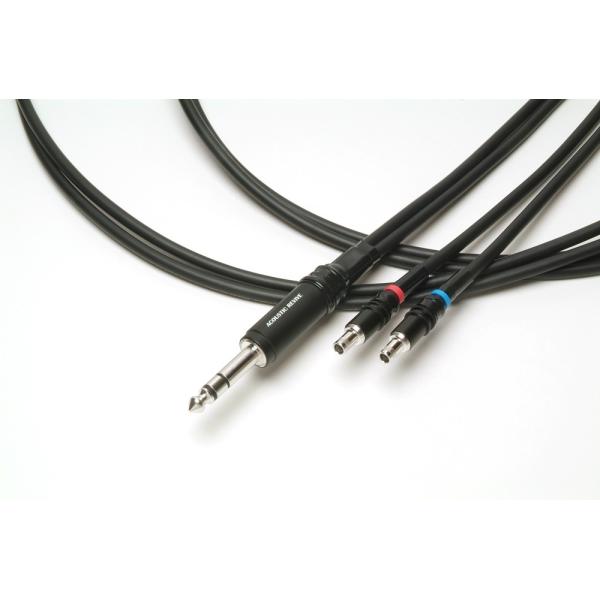 ACOUSTIC REVIVE ヘッドフォンケーブル RHC-2.5HE-S-TripleC-FM ...