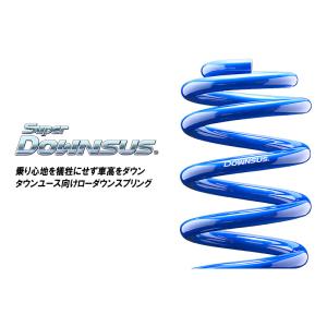 [エスペリア]ジャガー S-TYPE JO1FA / 2WD 3000cc(99.6〜04.5)用スーパーダウンサス