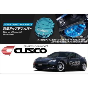 RS-R_Ti2000 DOWN]ZGE22W ウィッシュ_2.0Z(2WD_2000 NA_H21/4〜)用車検