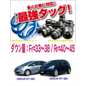 未使用 ESPELIR スーパーダウンサス フィット GP5 2WD 一台分 ESPELIR]GE8 フィット(2WD/1.5L/X)用スーパーダウンサス : ユニオン