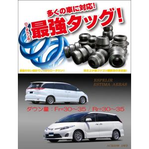 フジツボ]S15 シルビア(2.0/ターボ)用マフラー(レガリスR) : ユニオン