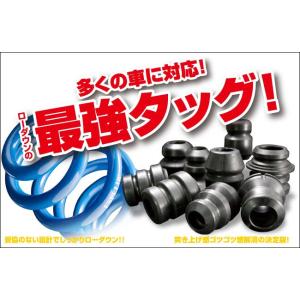 [ESPELIR]GRX130 マークX(H25/12〜/113mm)用スーパーダウンサス+バンプラ...