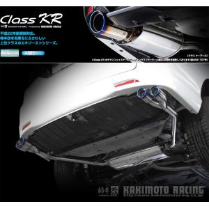 HKS（エッチケーエス） 【HKS】 マフラー リーガマックスプレミアム