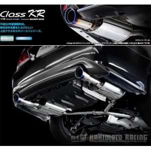 BLITZ（ブリッツ） NUR-SPEC CUSTOM EDITION VS 63588 クラウン