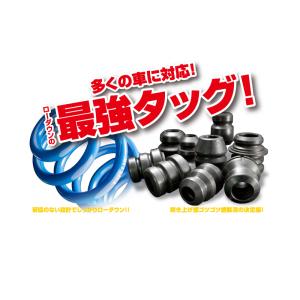 [エスペリア]GRS191 レクサスGS350_2WD 前期 / 350 ベースモデル(H17/8〜H19/9)用ダウンサス＆バンプラバー[車検対応]｜unionproduce