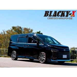 RACING GEAR（レーシングギア） RG SR-WT612-B トヨタ ノア