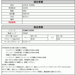 [RS-R_RS★R DOWN]AVE35 レ...の詳細画像1