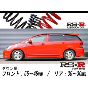 RS-R_Ti2000 DOWN]ZGE22W ウィッシュ_2.0Z(2WD_2000 NA_H21/4〜)用車検