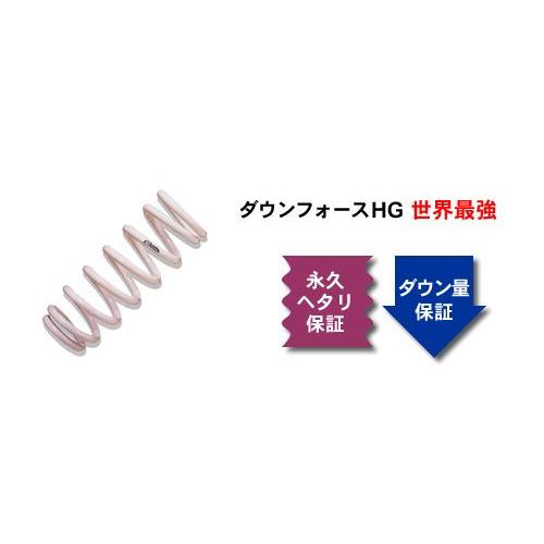 [ズーム]VZNY12 ADワゴン・バン(4WD)用ダウンサス〔HG〕
