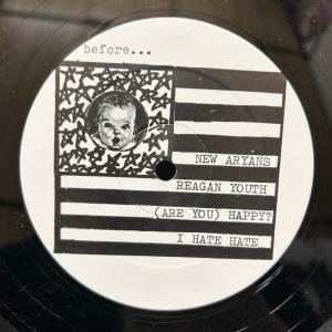 REAGAN YOUTH / YOUTH AN...の詳細画像3