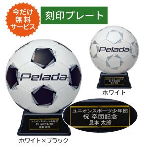 adidas（アディダス） コネクト26 キッズ conext 26 日本オリジナル