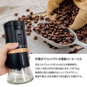 アウトレット品 oceanrich G2 TY...の詳細画像1