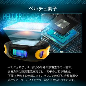 COOLSTRIKE クールストライク ペルチ...の詳細画像4