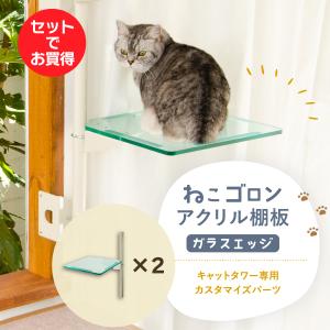 キャットタワー専用 アクリル棚板 (ガラスエッジ) 【ねこゴロン