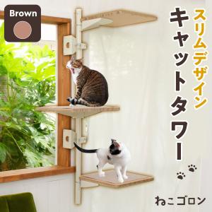 THITHIPET(ティティペット) キャットタワー Ace-Coffret(エースコフレ