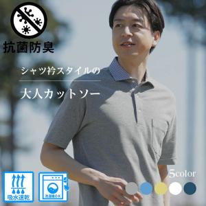 シャツ衿DRY半袖ポロシャツ 抗菌防臭 吸水速...の詳細画像1