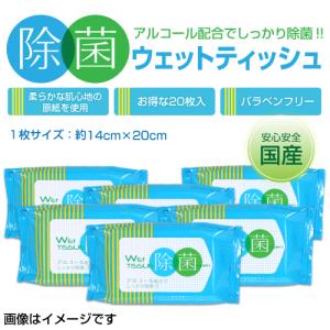 国産 ウェットティッシュ ワイド 除菌 20枚 x 6個セット