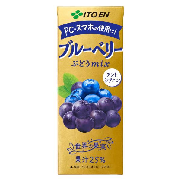 伊藤園 ブルーベリーぶどうmix 200ml 紙パック 24本