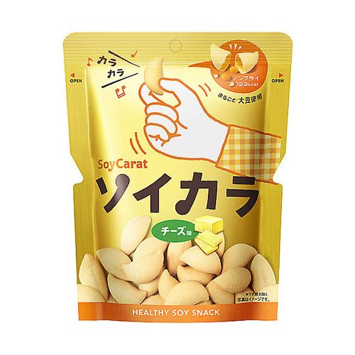 大塚製薬 ソイカラ チーズ味 18袋セット