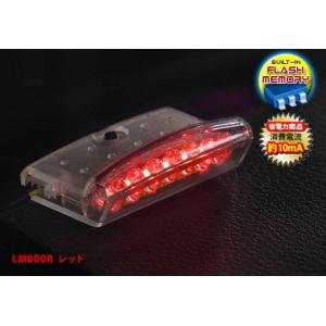 【VISION LM800R】レッド（赤）のＬＥＤ！点滅パターンを変えてオリジナリティを追求【LED...