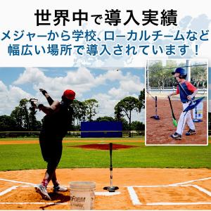 安心6ヶ月保証付き! Tanner Tee(タ...の詳細画像4