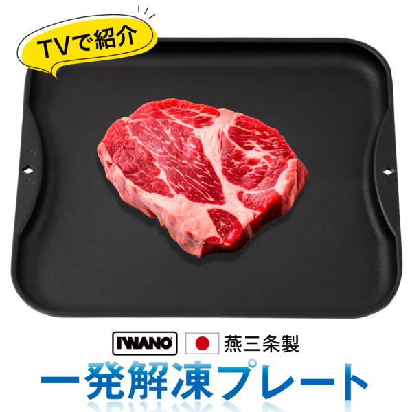 解凍プレート 日本製 急速解凍 解凍皿 IWANO 一発解凍プレート イワノ 解凍時間短縮 あら熱取...