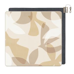 パナソニック Panasonic DC-2NKA2-C ベージュ 2畳用カーペット 着せ替えカーペット 本体＆カバーセット 8時間自動OFF