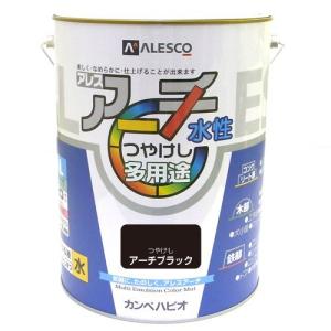 カンペハピオ アレスアーチ アーチブラック 4L