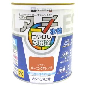 カンペハピオ アレスアーチ バーニングオレンジ 2L