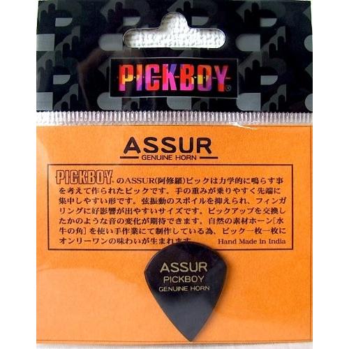 PICK BOY GP-AS/1 ASSUR ×2枚 アシュラピック