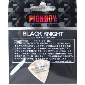 PICK BOY GP-AS/BLK1 BLACK KNIGHT ×2枚 ピック｜unliminet