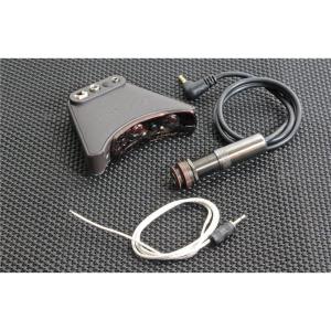 NeotenicSound アコースティックピックアップシグナルコンディショナー