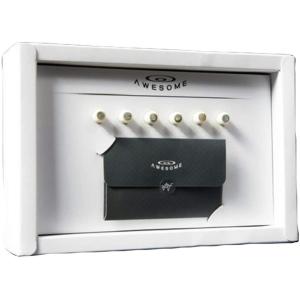 アコースティックギター用ブリッジピン AWESOME AW-BO52