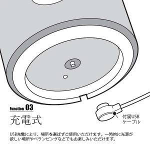 ARTWORKSTUDIO アートワークスタジ...の詳細画像4