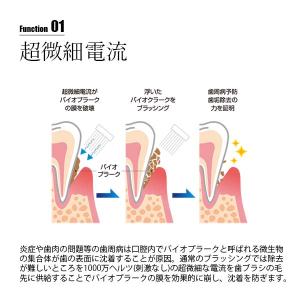 TROMATZ WAVE トロマッツウェーブ ...の詳細画像2