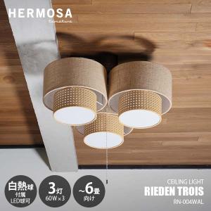 HERMOSA ハモサ　北欧モダン シーリングライト 4灯　ライトブルー　照明 HERMOSA（ハモサ） シーリングライト リーデン トロワ RN-004WAL｜白熱