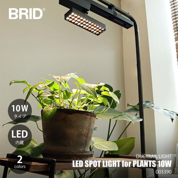 BRID ブリッド LED SPOT LIGHT for PLANTS 10W LEDスポットライト...