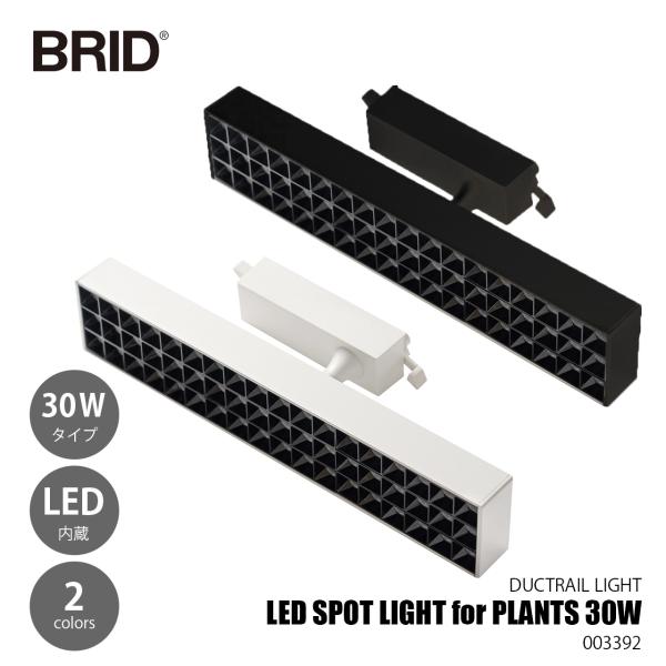 BRID ブリッド LED SPOT LIGHT for PLANTS 30W LEDスポットライト...