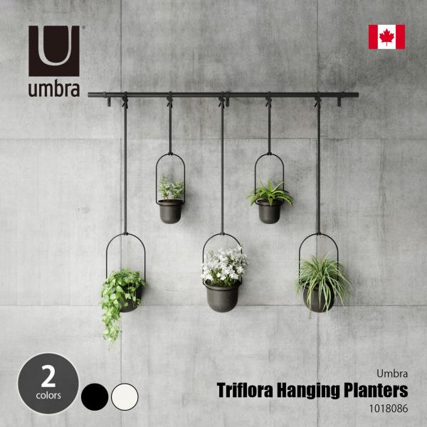 Umbra アンブラ Triflora 5 Hanging Planters トリフローラ 5カップ...