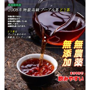 お茶 プーアル茶 茶葉 2008年産 とう茶 3.5g×55個 無農薬 無添加 本場雲南産 六大茶山 中国茶 健康 ダイエット 送料無料