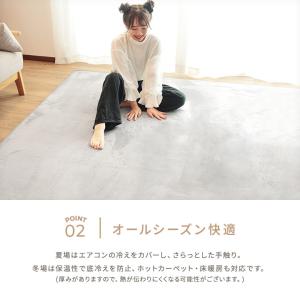 ラグ 190×240cm 極厚フランネルラグマ...の詳細画像3