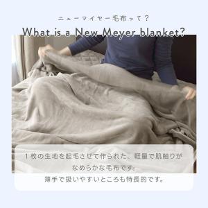 毛布 ダブル なめらかフランネルブランケット ...の詳細画像2