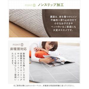 ラグ 1畳 洗える ラグマット 小さめ 100...の詳細画像3