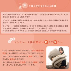 掛け布団 シングル シンサレート 洗える 掛布...の詳細画像3