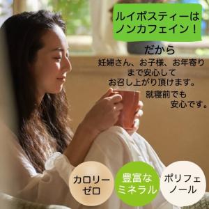 グリーンルイボスティー オーガニック 有機茶葉...の詳細画像3
